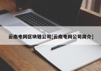 云南电网区块链公司[云南电网公司简介]