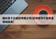 国内首个公益区块链公司[区块链在公益慈善领域应用]